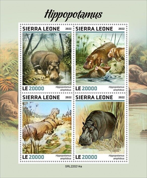 Sierra Leone 2022 MNH Wild Animals Stamps Hippopotamus Hippos 4v M/S