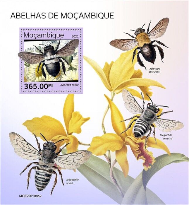 Mozambique 2022 MNH Bees Stamps Bee Insects 1v S/S II
