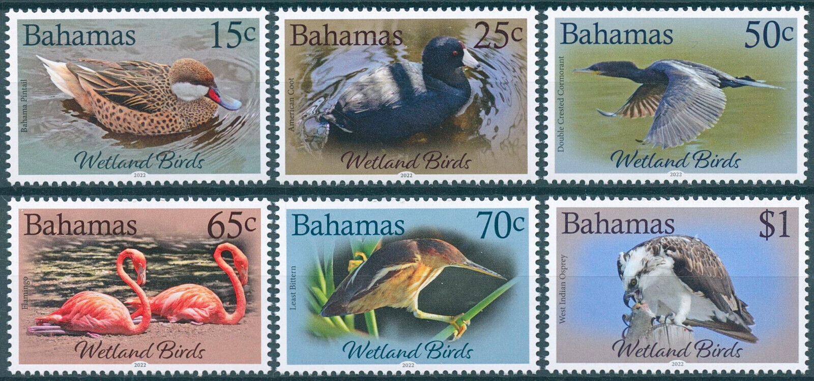 Bahamas 2022 MNH Birds on Stamps Wetlands Birds Ducks Flamingos Bittern 6v Set