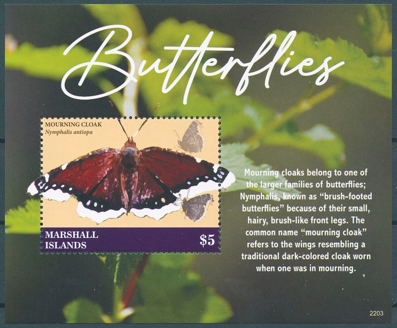 Marshall Islands 2022 MNH Butterflies Stamps Mourning Cloak Butterfly 1v S/S