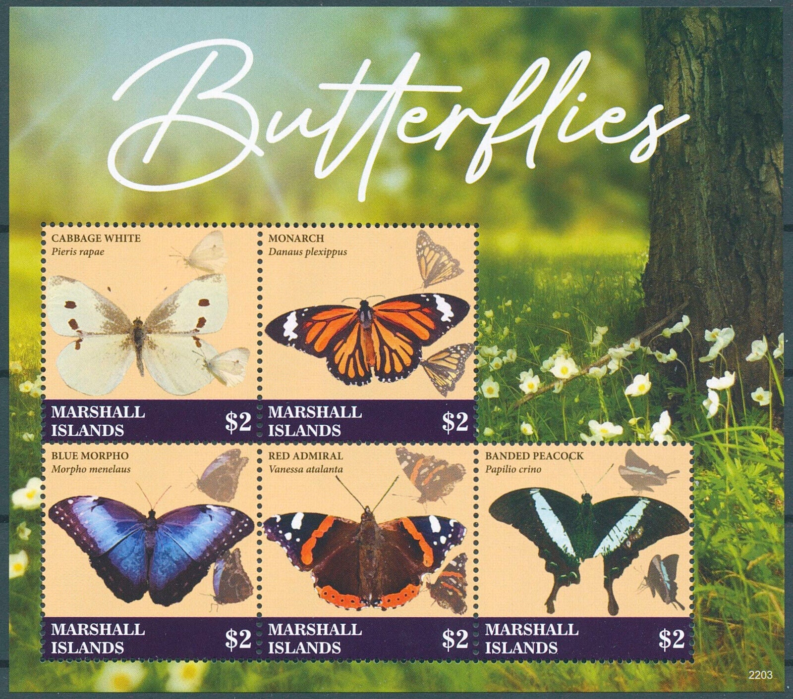 Marshall Islands 2022 MNH Butterflies Stamps Monarch Butterfly Blue Morpho 5v MS