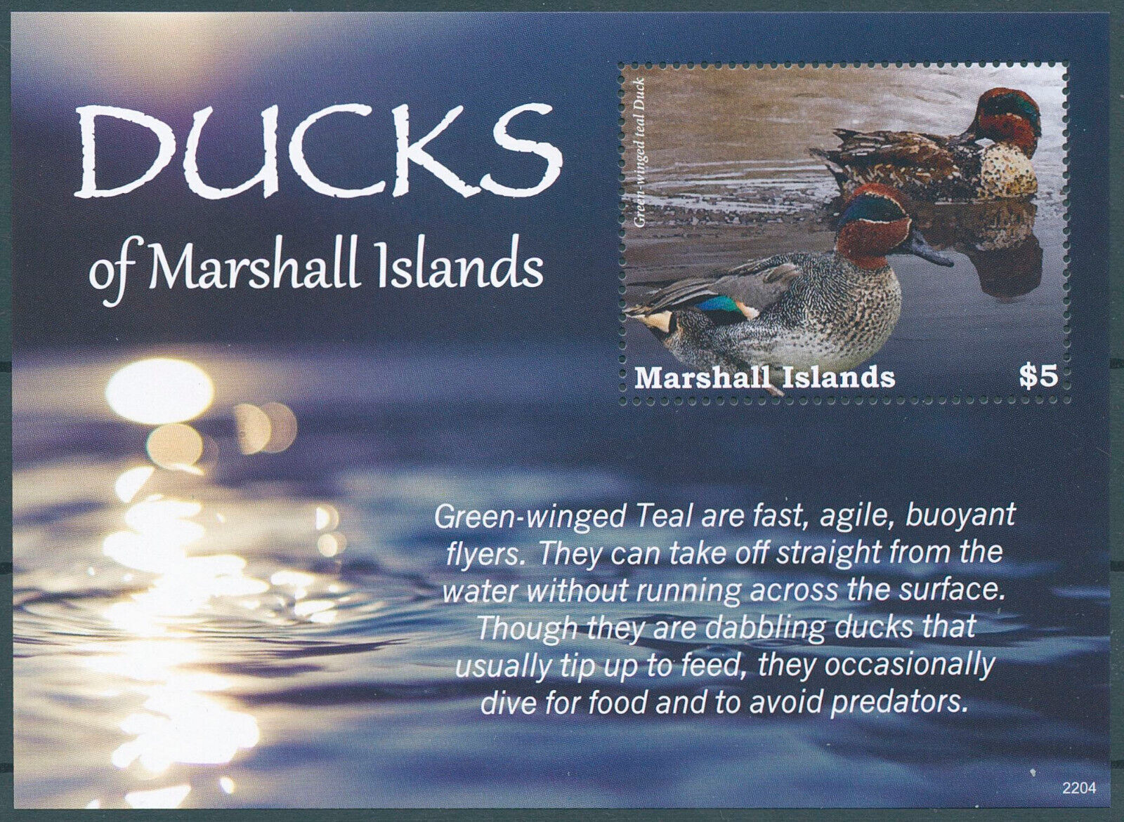 Marshall Islands 2022 MNH Birds on Stamps Ducks Teal Duck 1v S/S