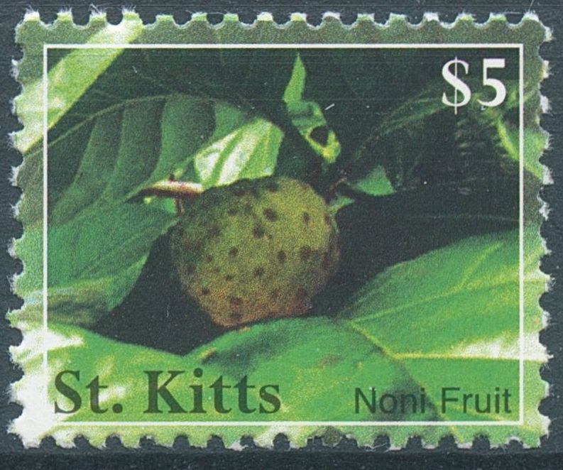 St Kitts 2007 MNH Fruits Stamps Noni Fruit Definitives Nature 1v Set