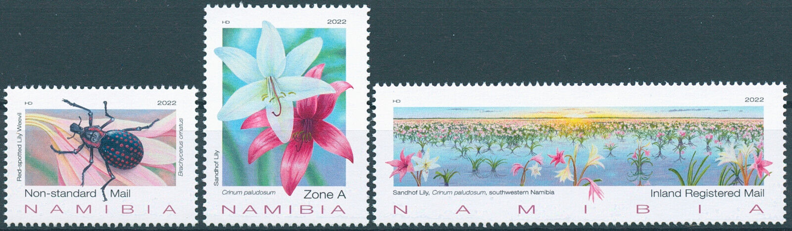 Namibia 2022 MNH Flowers Stamps Sandhof Lily Lilies Beetles Flora Nature 3v Set