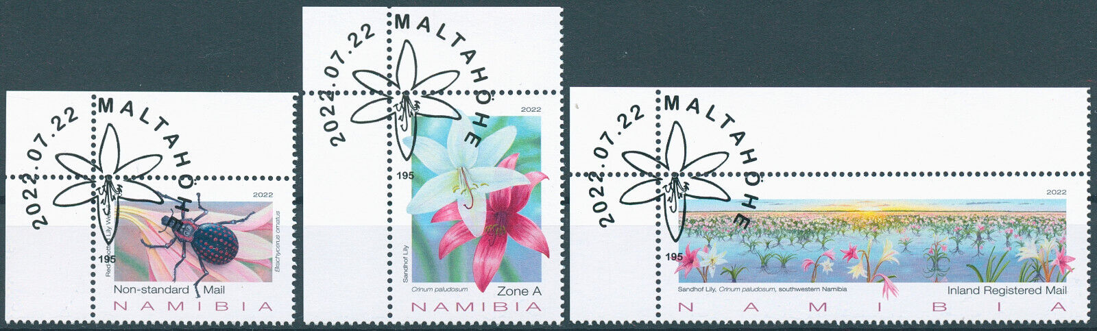 Namibia 2022 CTO Flowers Stamps Sandhof Lily Lilies Beetles Flora Nature 3v Set