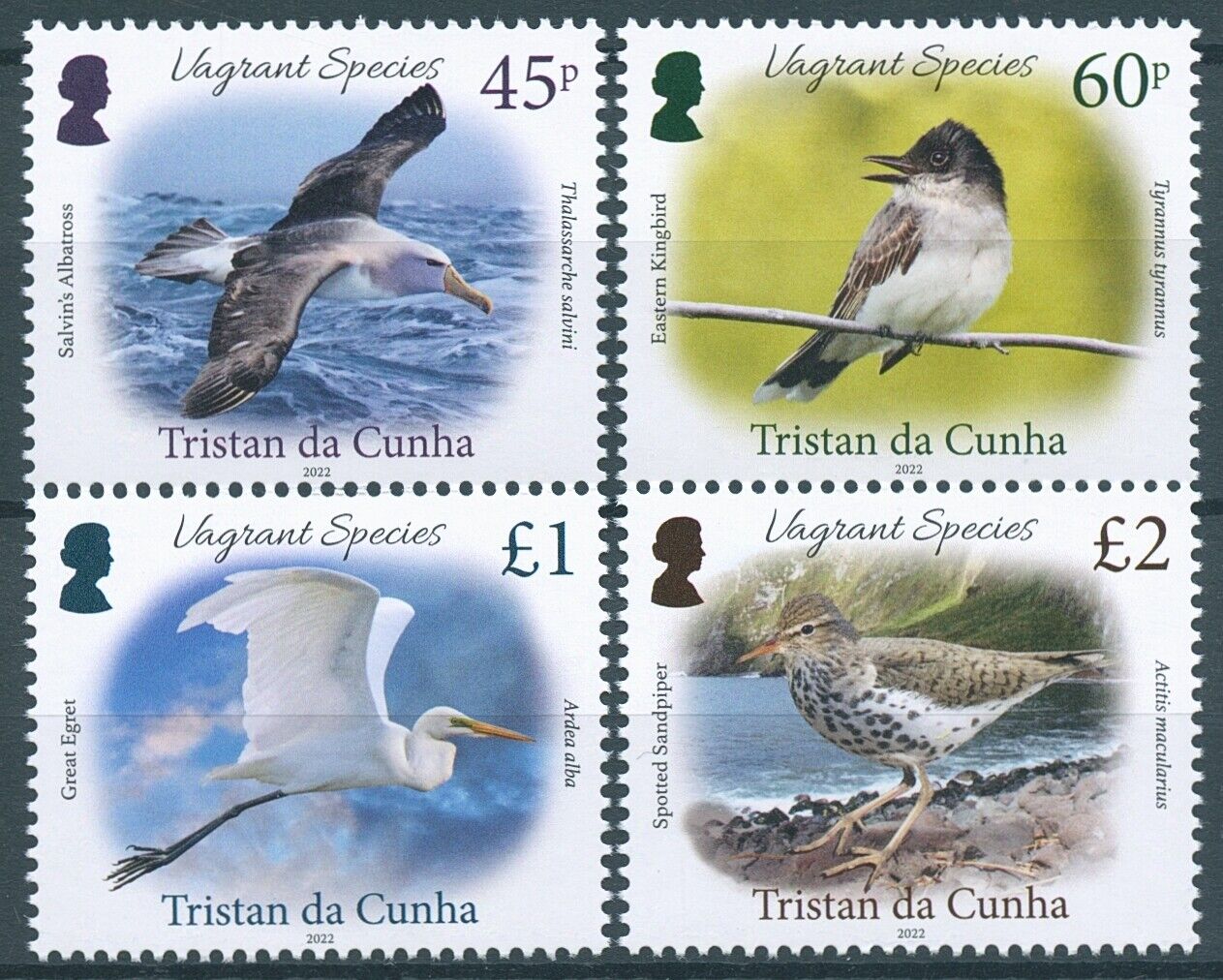 Tristan da Cunha 2022 MNH Birds on Stamps Vagrant Species Pt 3 Albatross 4v Set