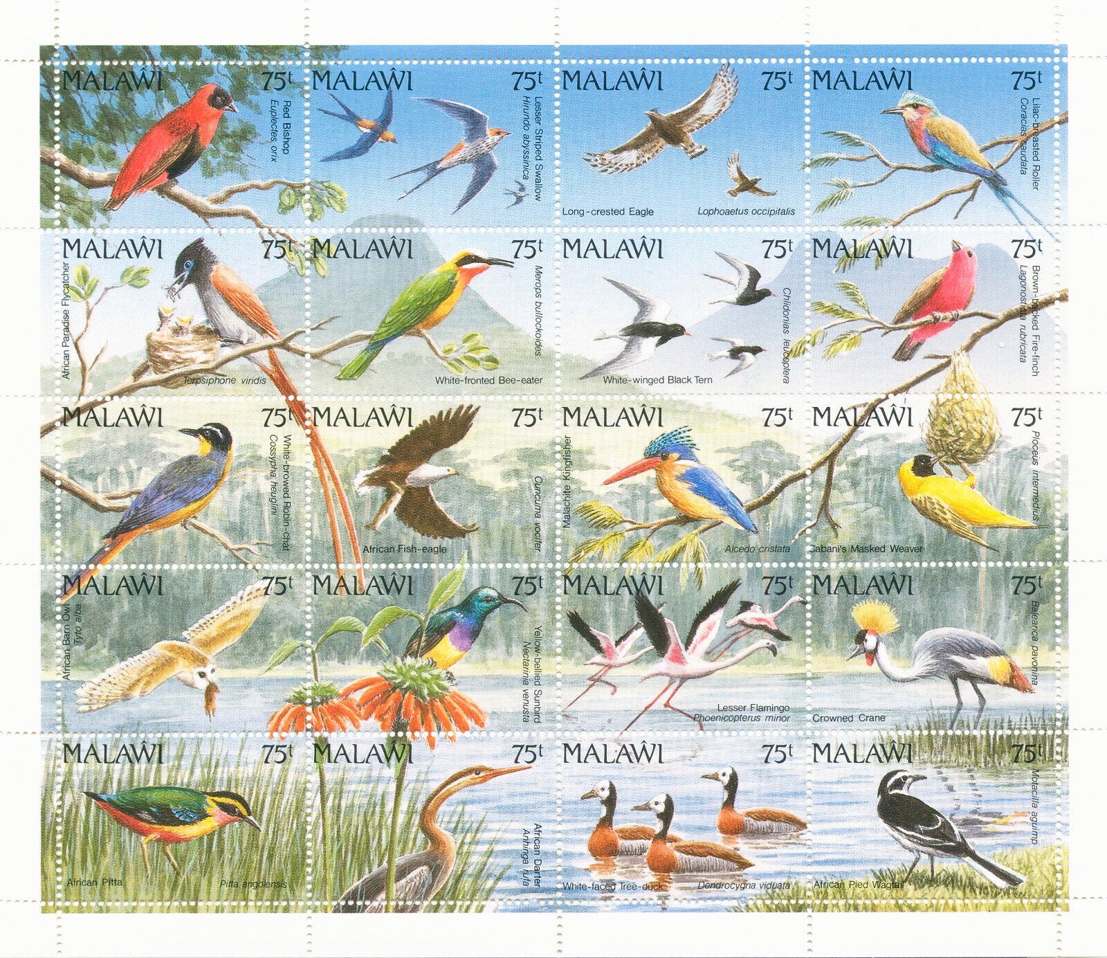 Malawi 1992 MNH Birds on Stamps Ducks Bee-Eaters Kingfishers Cranes Owls 20v M/S