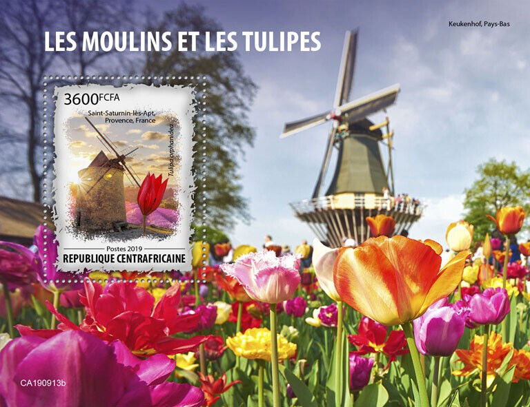 Central African Republic 2019 MNH Windmills & Tulips Stamps Flowers Flora 1v S/S