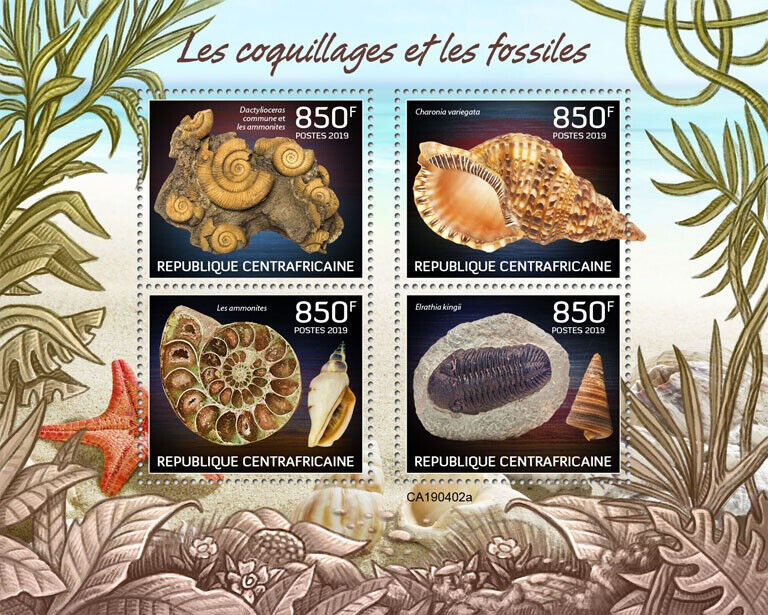 Central African Republic 2019 MNH Seashells & Fossils Stamps 4v M/S