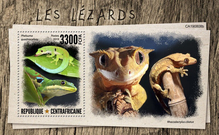 Central African Rep 2019 MNH Reptiles Stamps Lizards Geckos Day Gecko 1v S/S
