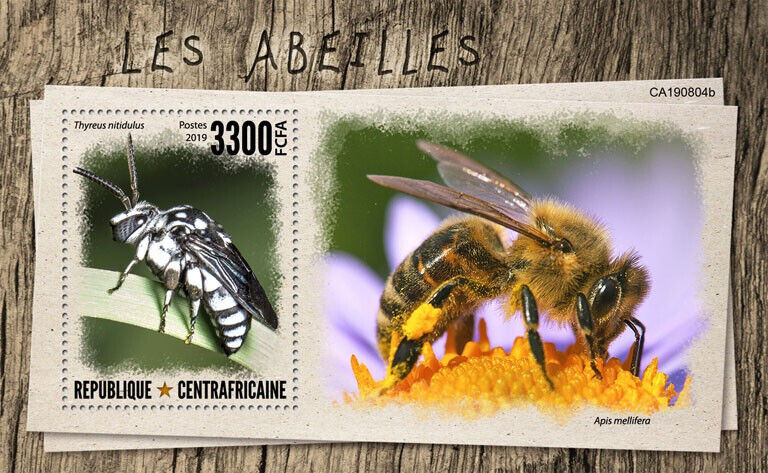 Central African Rep 2019 MNH Bees Stamps Neon Cuckoo Bee Insects 1v S/S