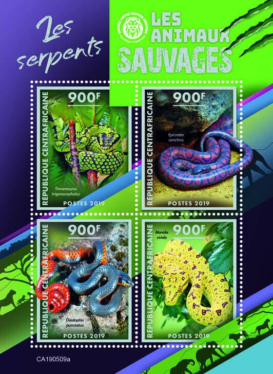 Central African Rep 2019 MNH Reptiles Stamps Snakes Rainbow Boa Snake 4v M/S