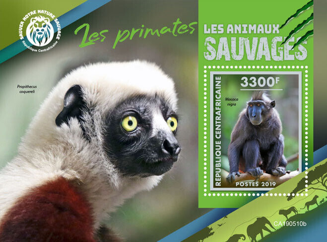 Central African Rep 2019 MNH Wild Animals Stamps Primates Monkeys Macaques 1v SS