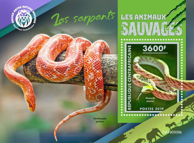 Central African Rep 2019 MNH Reptiles Stamps Snakes Vine Whip Snake 1v S/S