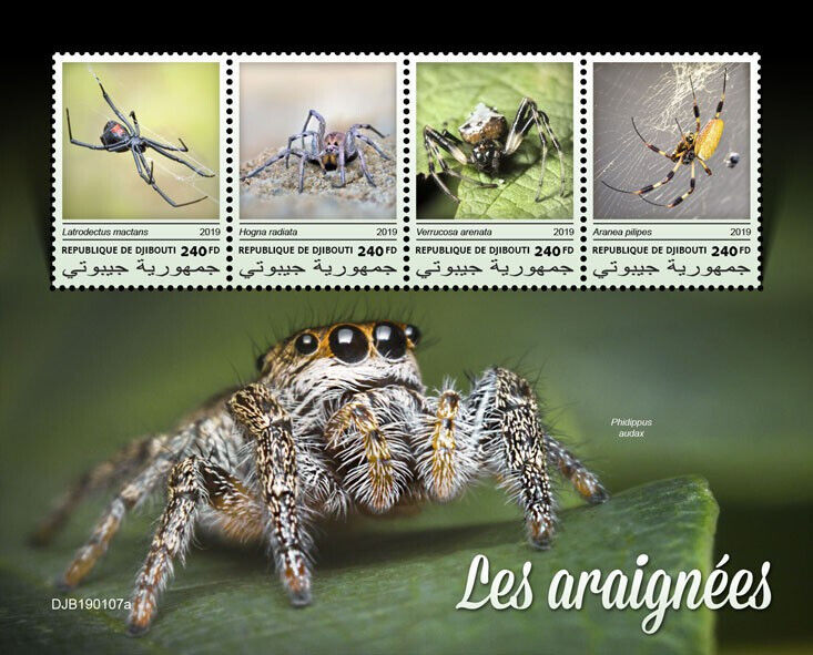 Djibouti 2019 MNH Spiders Stamps Arachnids Arrowhead Spider 4v M/S