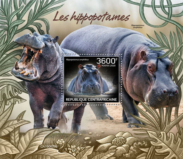 Central African Rep 2019 MNH Wild Animals Stamps Hippopotamus Hippos 1v S/S