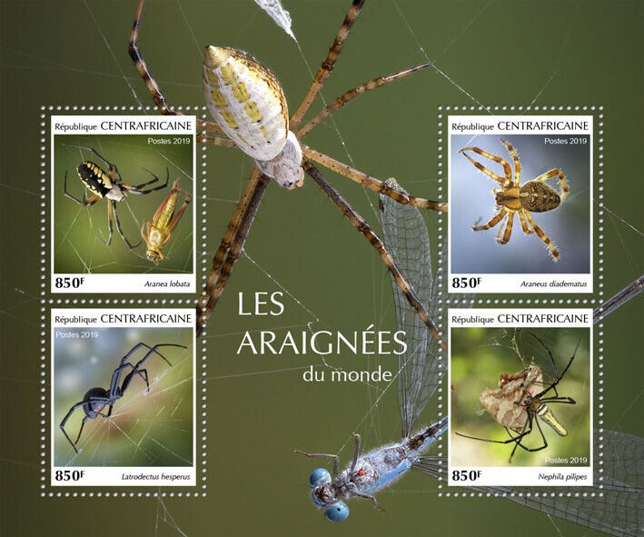 Central African Rep 2019 MNH Spiders Stamps Arachnids Garden Spider 4v M/S