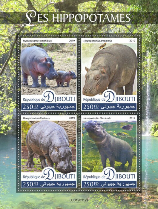 Djibouti 2019 MNH Wild Animals Stamps Hippopotamus Hippos 4v M/S