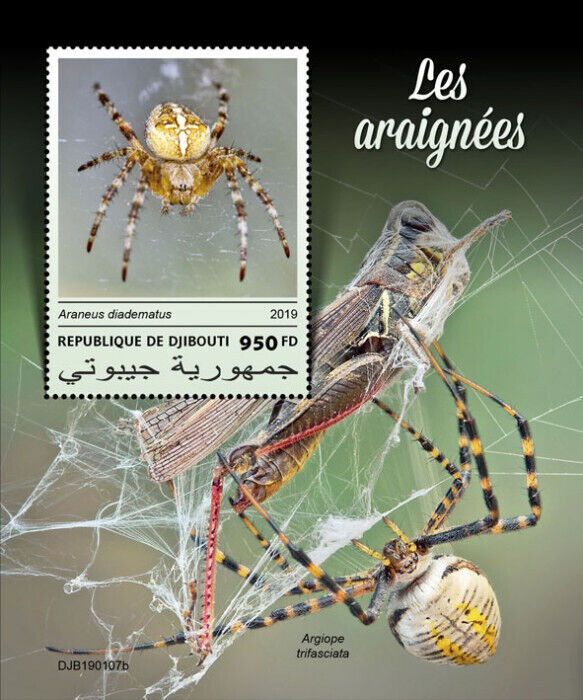 Djibouti 2019 MNH Spiders Stamps Arachnids European Garden Spider 1v S/S