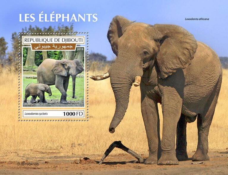 Djibouti 2019 MNH Wild Animals Stamps Elephants African Elephant 1v S/S