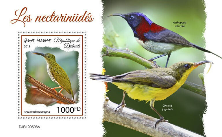 Djibouti 2019 MNH Birds on Stamps Sunbirds Streaked Spiderhunter 1v S/S