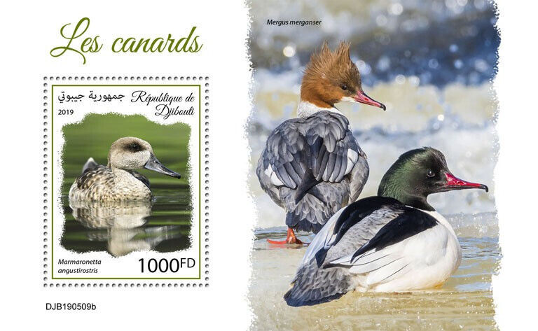 Djibouti 2019 MNH Birds on Stamps Ducks Marbled Duck Merganser 1v S/S