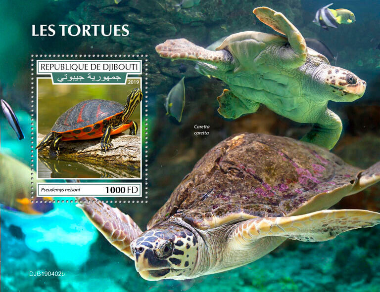 Djibouti 2019 MNH Reptiles Stamps Turtles Cooter Loggerhead Sea Turtle 1v S/S