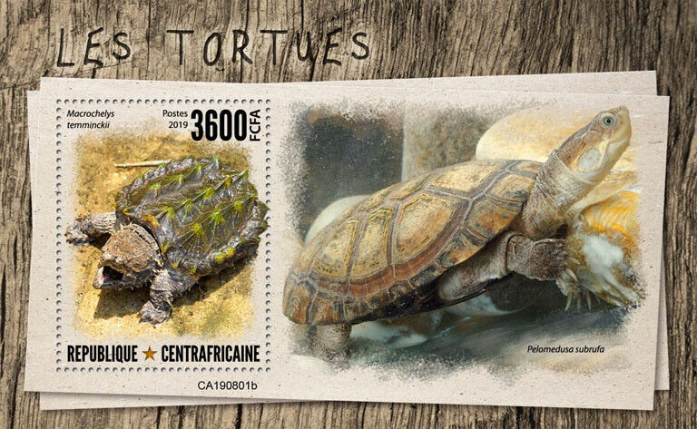 Central African Rep 2019 MNH Reptiles Stamps Turtles of World Turtle 1v S/S
