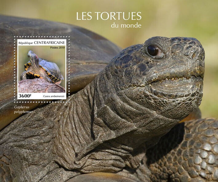 Central African Rep 2019 MNH Reptiles Stamps Turtles of World Box Turtle 1v S/S