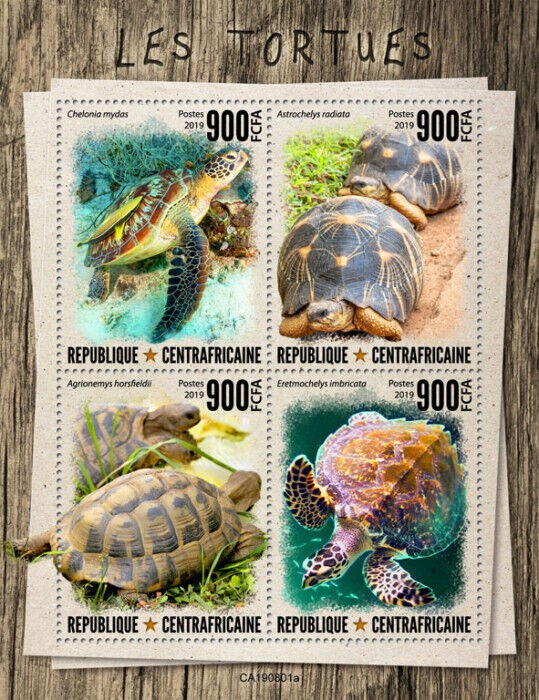 Central African Rep 2019 MNH Reptiles Stamps Turtles of World Tortoises 4v M/S
