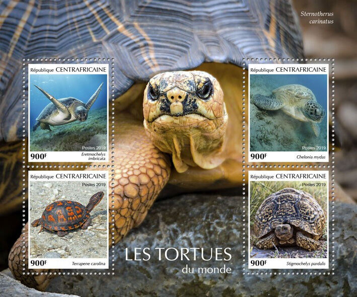 Central African Rep 2019 MNH Reptiles Stamps Turtles of World Sea Turtle 4v M/S