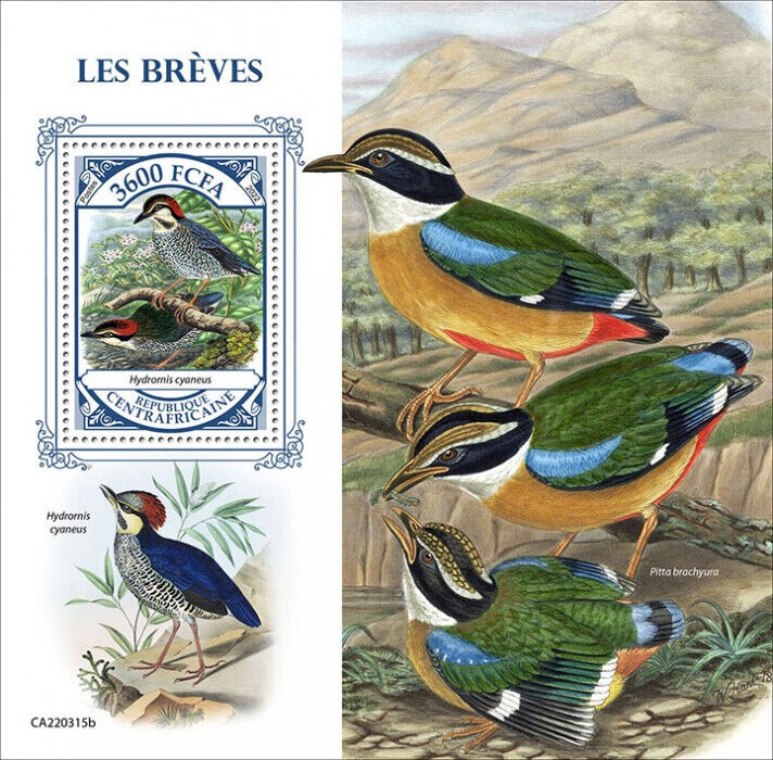 Central African Rep 2022 MNH Birds on Stamps Pittas Pittadae Blue Pitta 1v S/S