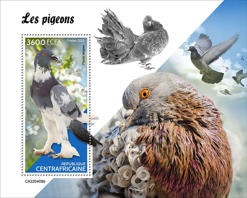 Central African Rep 2022 MNH Birds on Stamps Pigeons English Pouter Pigeon 1v S/S