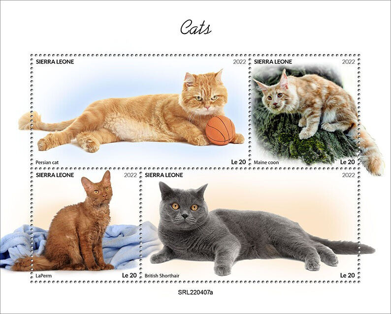Sierra Leone 2022 MNH Cats Stamps Maine Coon Persian British Shorthair 4v M/S