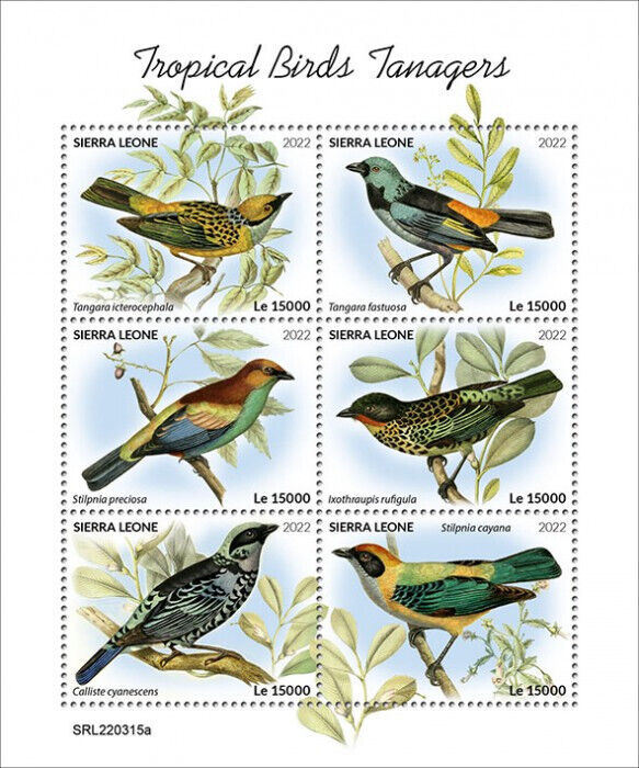 Sierra Leone 2022 MNH Tropical Birds on Stamps Tanagers Tanager 6v M/S