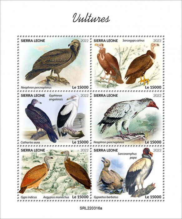 Sierra Leone 2022 MNH Birds of Prey on Stamps Vultures Egyptian Vulture 6v M/S
