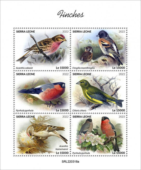 Sierra Leone 2022 MNH Birds on Stamps Finches Bullfinch Greenfinch 6v M/S