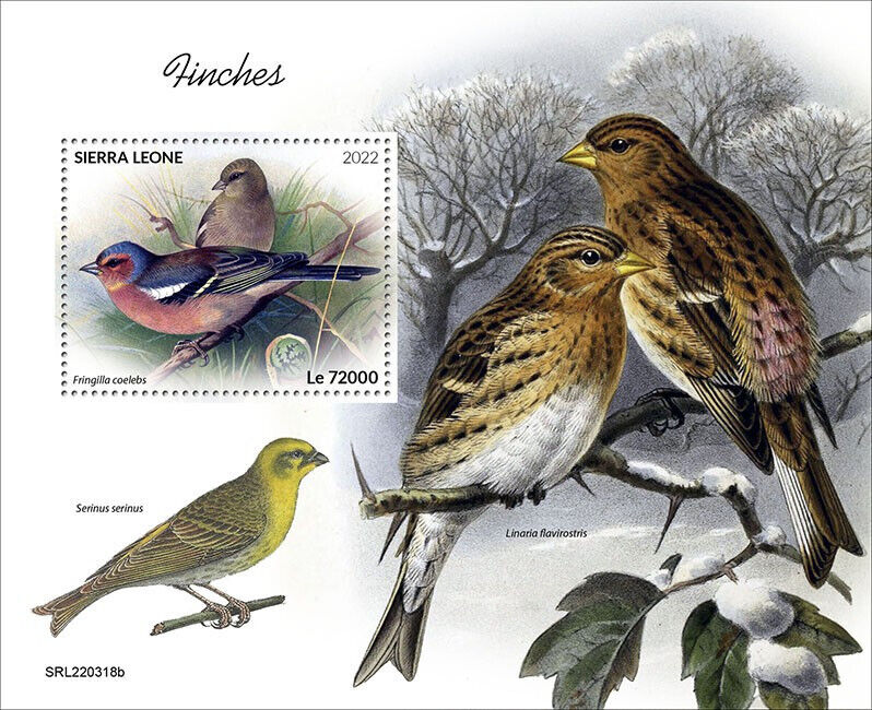 Sierra Leone 2022 MNH Birds on Stamps Finches Chaffinch Serin 1v S/S