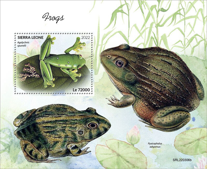 Sierra Leone 2022 MNH Amphibians Stamps Frogs Gliding Tree Frog 1v S/S