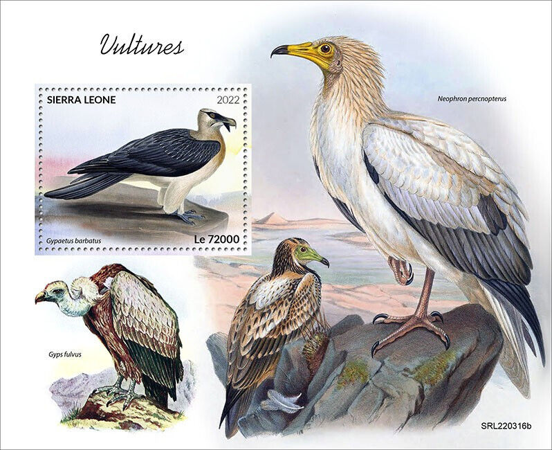 Sierra Leone 2022 MNH Birds of Prey on Stamps Vultures Bearded Vulture 1v S/S