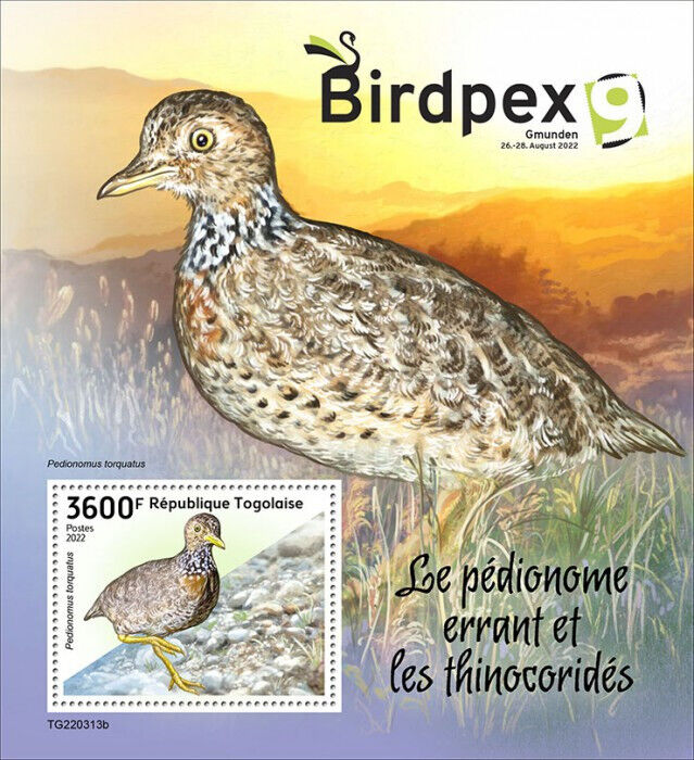Togo 2022 MNH Birds on Stamps Birdpex Gmunden Plains-Wanderer & Seedsnipe 1v S/S