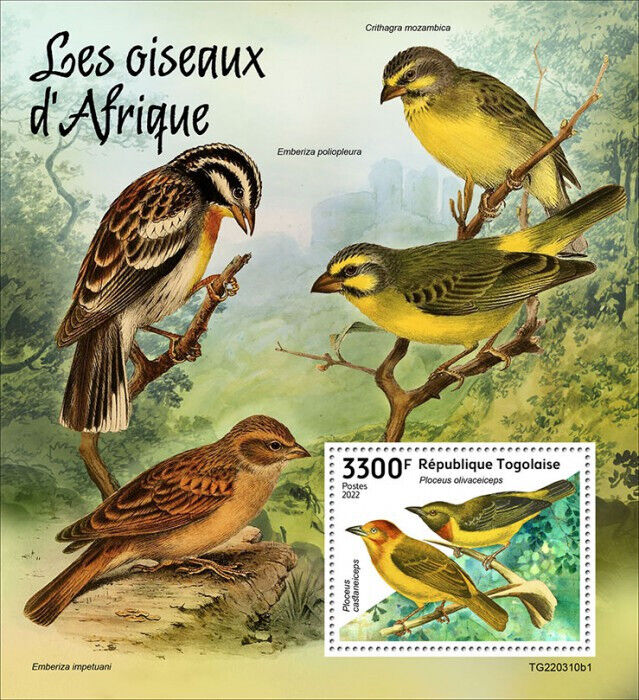 Togo 2022 MNH Birds of Africa on Stamps Weavers Taveta Weaver 1v S/S I