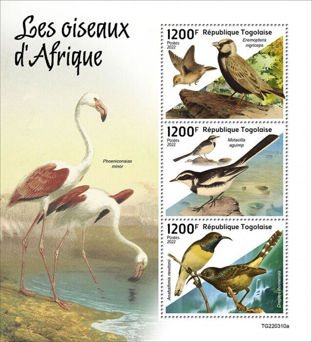 Togo 2022 MNH Birds of Africa on Stamps Wagtails Sunbirds Sparrow-Lark 3v M/S
