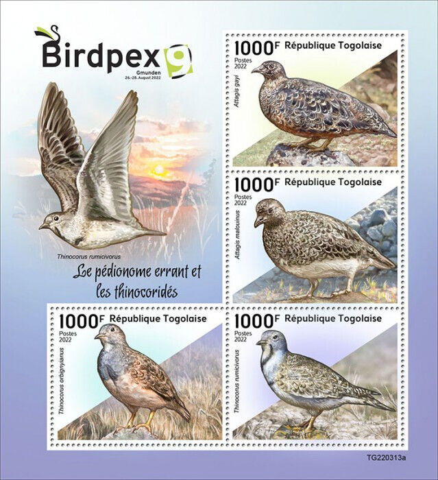 Togo 2022 MNH Birds on Stamps Birdpex Gmunden Plains-Wanderer & Seedsnipe 4v M/S