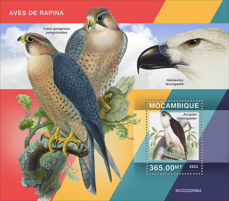 Mozambique 2022 MNH Birds of Prey on Stamps Hawks White-Breasted Hawk 1v S/S II