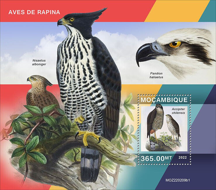 Mozambique 2022 MNH Birds of Prey on Stamps Hawks Chilean Hawk Raptors 1v S/S I