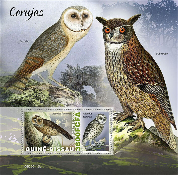 Guinea-Bissau 2022 MNH Birds of Prey on Stamps Owls Boreal Owl Barn Owl 1v S/S