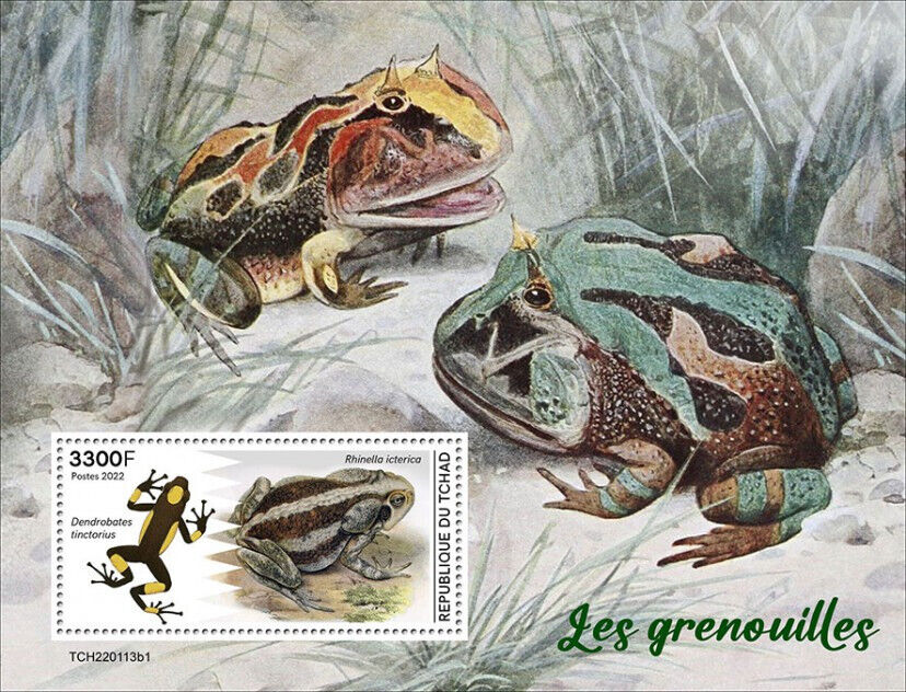 Chad 2022 MNH Amphibians Stamps Frogs Dyeing Poison Dart Frog 1v S/S I