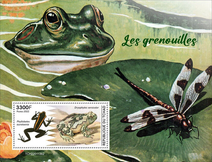 Chad 2022 MNH Amphibians Stamps Frogs Kokoe Poison Frog Grey Treefrog 1v S/S II
