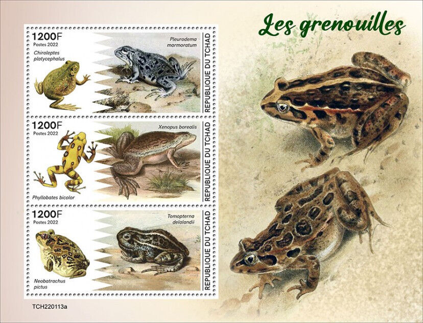 Chad 2022 MNH Amphibians Stamps Frogs Sand Frog Marsabit Clawed Frog 3v M/S